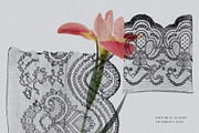 Black Lace Pieces Overlays, a Texture Graphic by Kaleriia (Thumbnail 2 of 9)