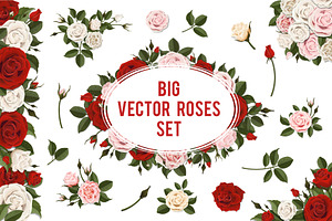 Set of white and red vector roses