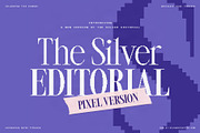 The Silver Editorial Pixel Version, a Serif Font by SilverStag Type Foundry (Thumbnail 1 of 20)