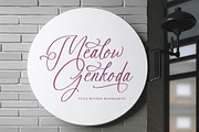 Anastasia Boutiques Beauty Script, a Script Font by Letterena Studios Script (Thumbnail 11 of 15)