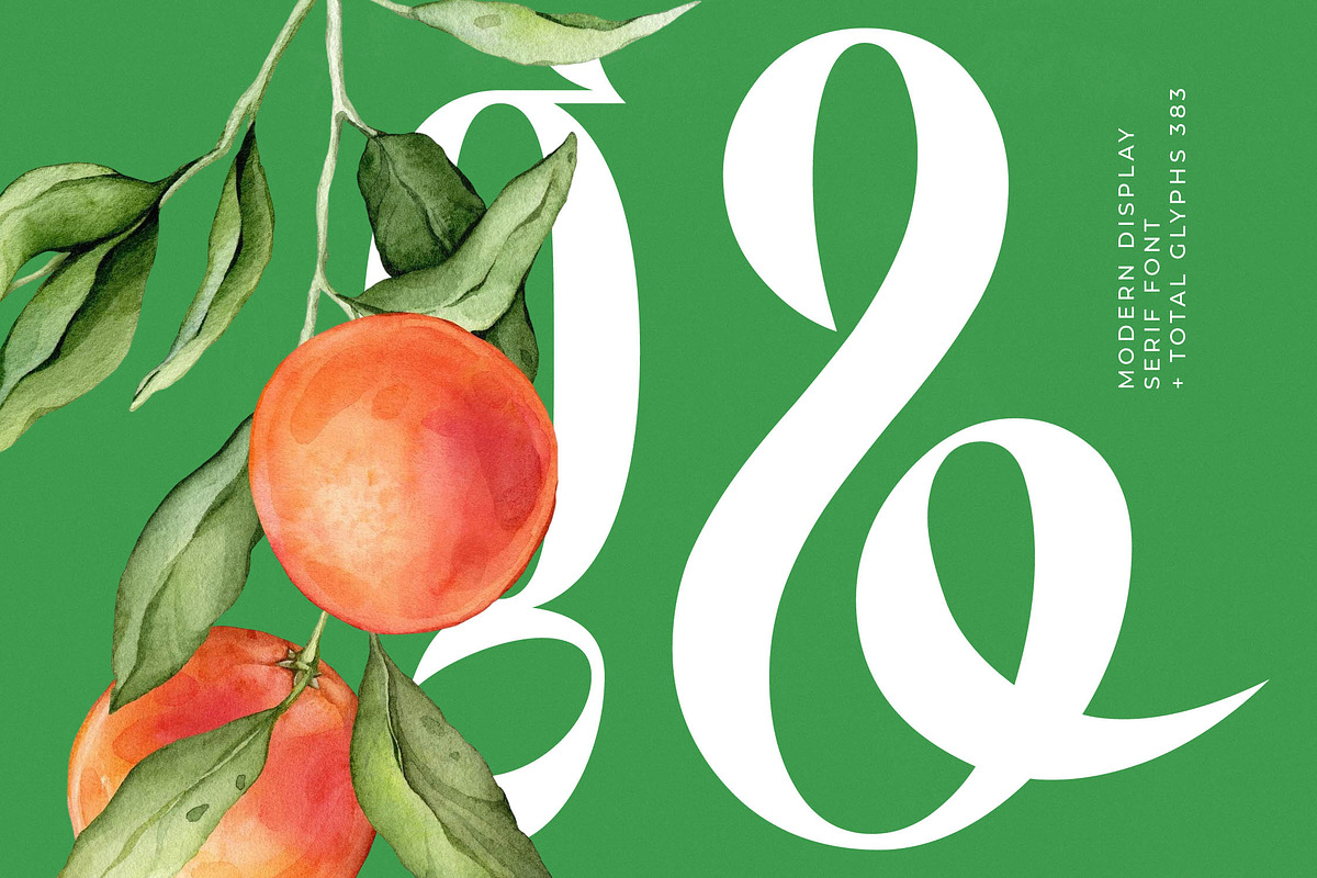 Bastfeng Skylight Modern Serif, a Serif Font by timelesstype.co (Photo 7 of 20)