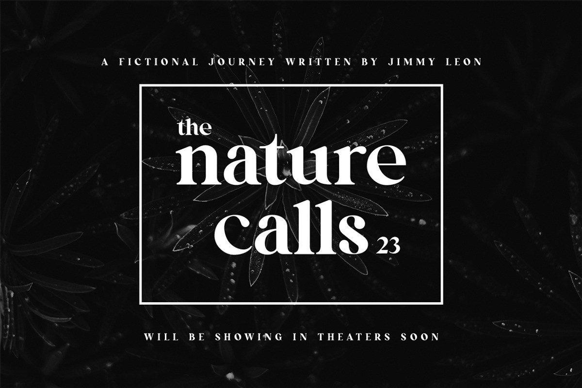 Stonewaller Modern Serif Font, a Serif Font by UICreative (Photo 3 of 12)