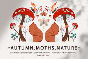 Autumn.Moths.Nature