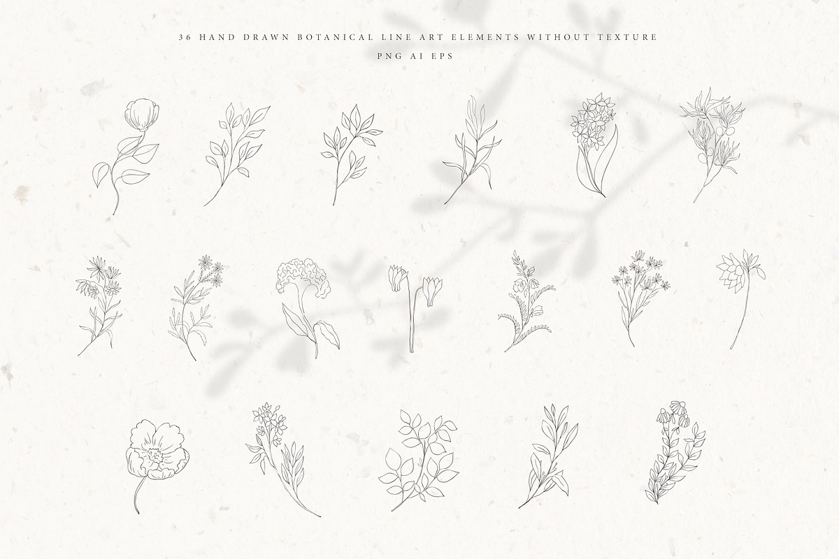 Botanical Alphabet & Monograms., a Decorative Illustration by Designwork (Photo 9 of 18)