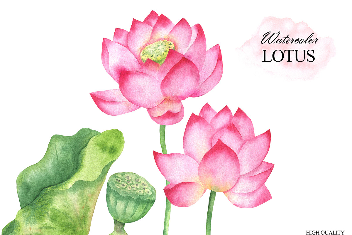 Watercolor lotus flower clipart, an Illustration by OlDm_Shop (Photo 6 of 10)