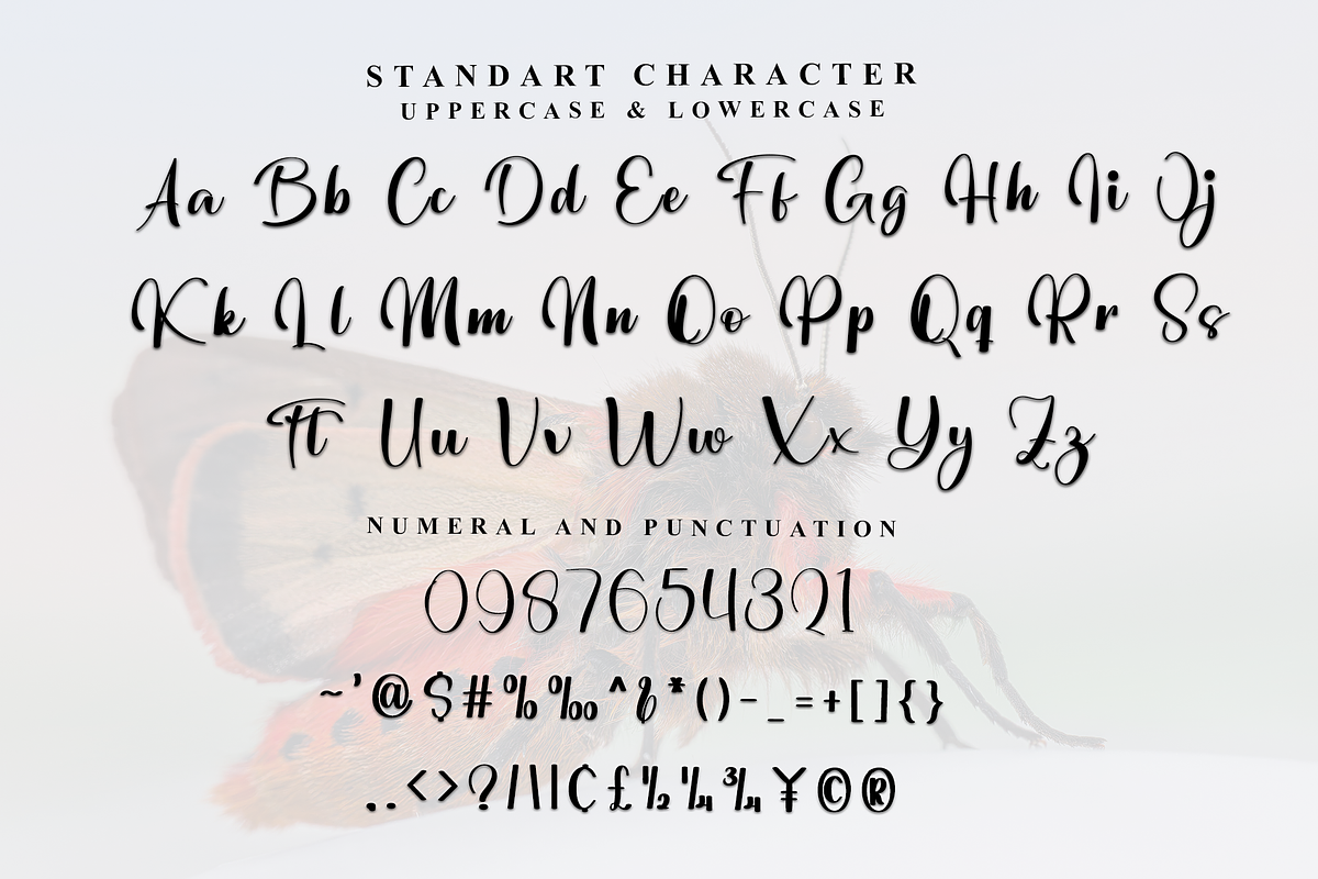 Birthday Antaresia, a Handwritten Font by InermediaSTUDIO (Photo 6 of 8)