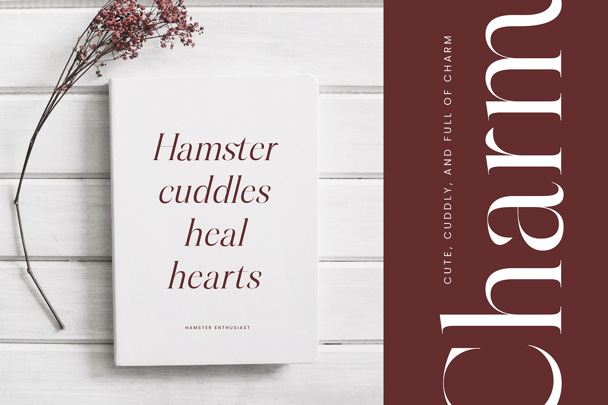 Hamster Modern Serif Font, a Serif Font by Letterena Studios (Photo 9 of 15)