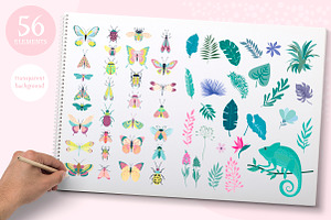 Nature / Insect & Plants Kit