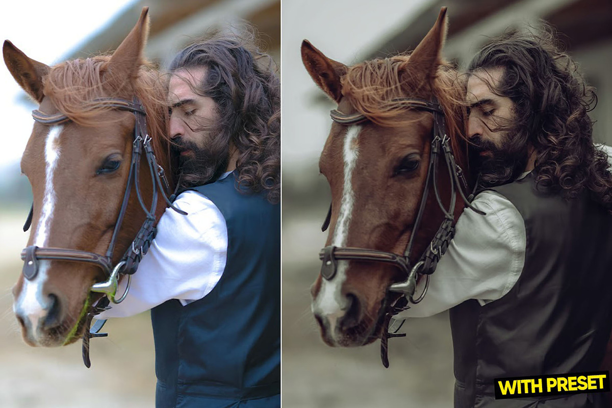 One Day Presets for Lightroom, a Preset Add-On by Hubzway (Photo 2 of 5)