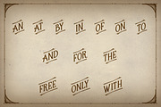 Stately Display Typeface, a Serif Font by Dandylyon Designs (Thumbnail 8 of 9)