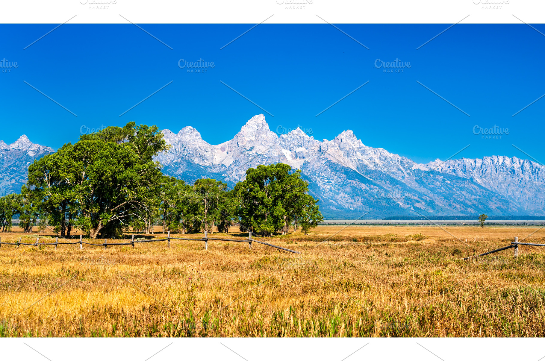 Grand Teton range behind grasslands, a Nature Photo by Leonid Andronov