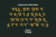 Brasty Vintage - Retro Serif Font, a Serif Font by Holyline Design (Thumbnail 10 of 16)