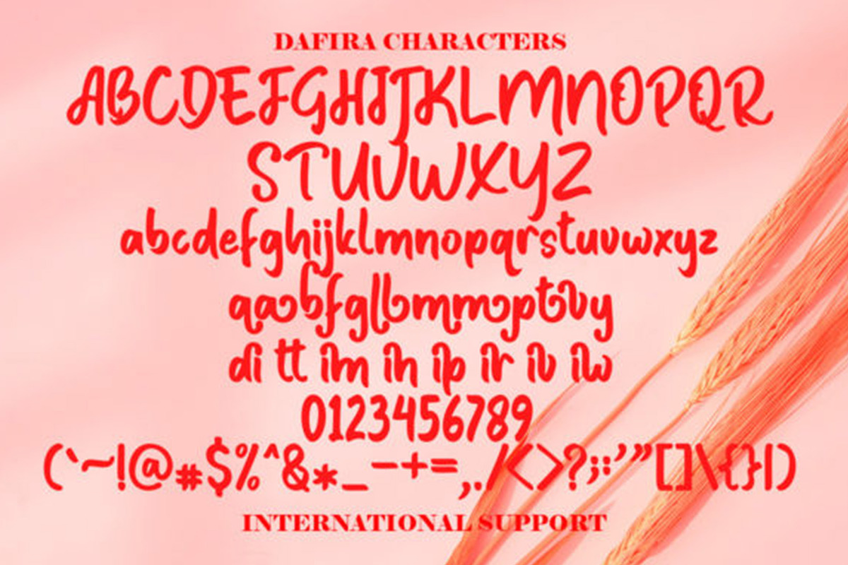 Juhaira, a Script Font by Gatype (Photo 4 of 5)