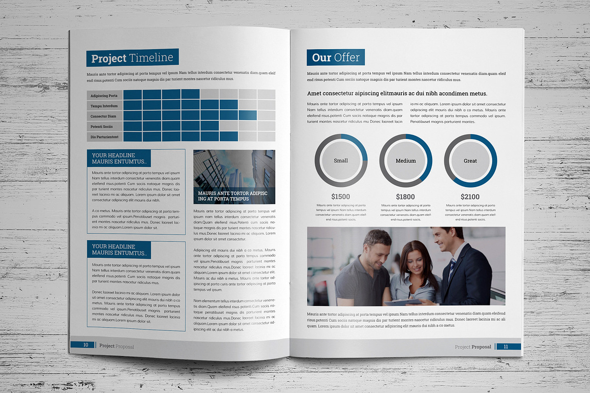 Project Proposal Template V6, a Brochure Template by JanySultana (Photo 6 of 14)