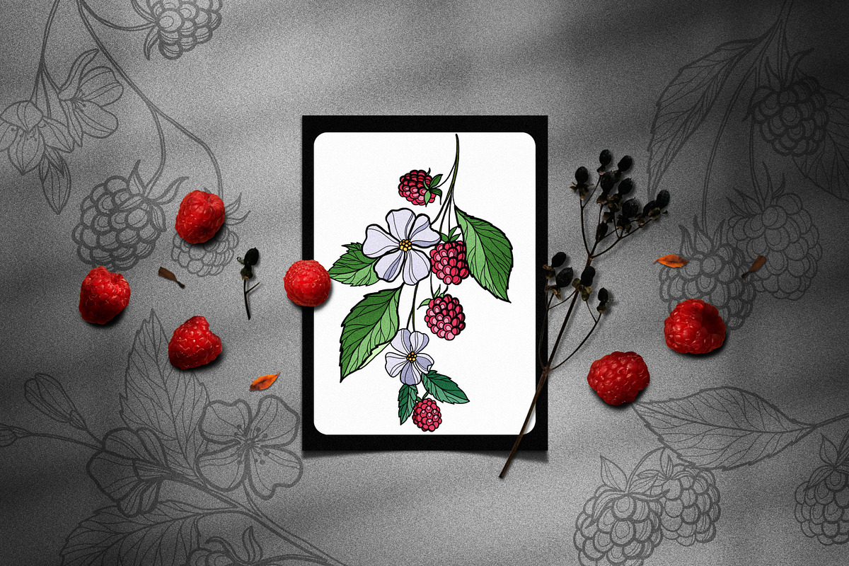Raspberry | Line art & Color vector, a Decorative Illustration by Dervik Art Store (Photo 2 of 8)