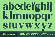 Niecher-Serif Display, a Serif Font by takoliko (Thumbnail 10 of 13)