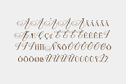 Diana Romance Classical Serif Font, a Serif Font by UICreative (Thumbnail 8 of 13)