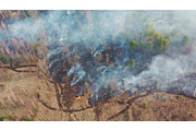 Aerial View. Spring Dry Grass Burns, a Graphic by Our Amazing World (Thumbnail 1 of 2)
