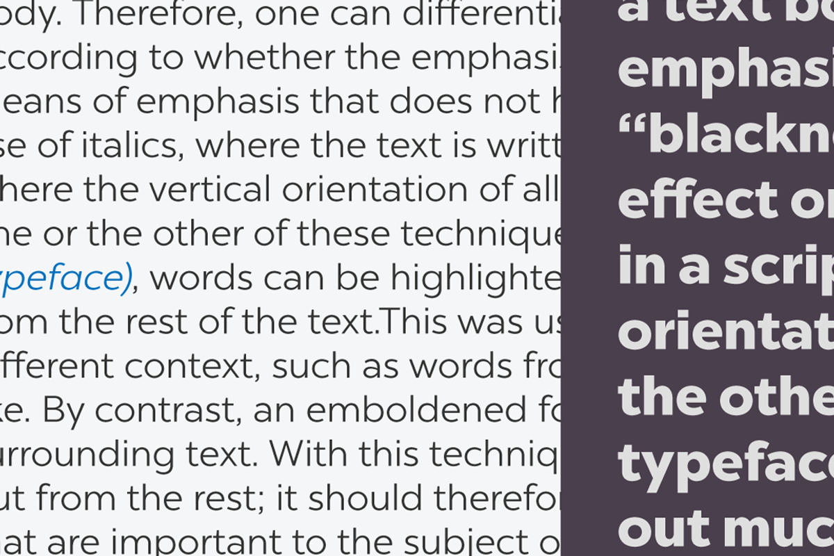 Chronica Pro Family (18 fonts) preview 5