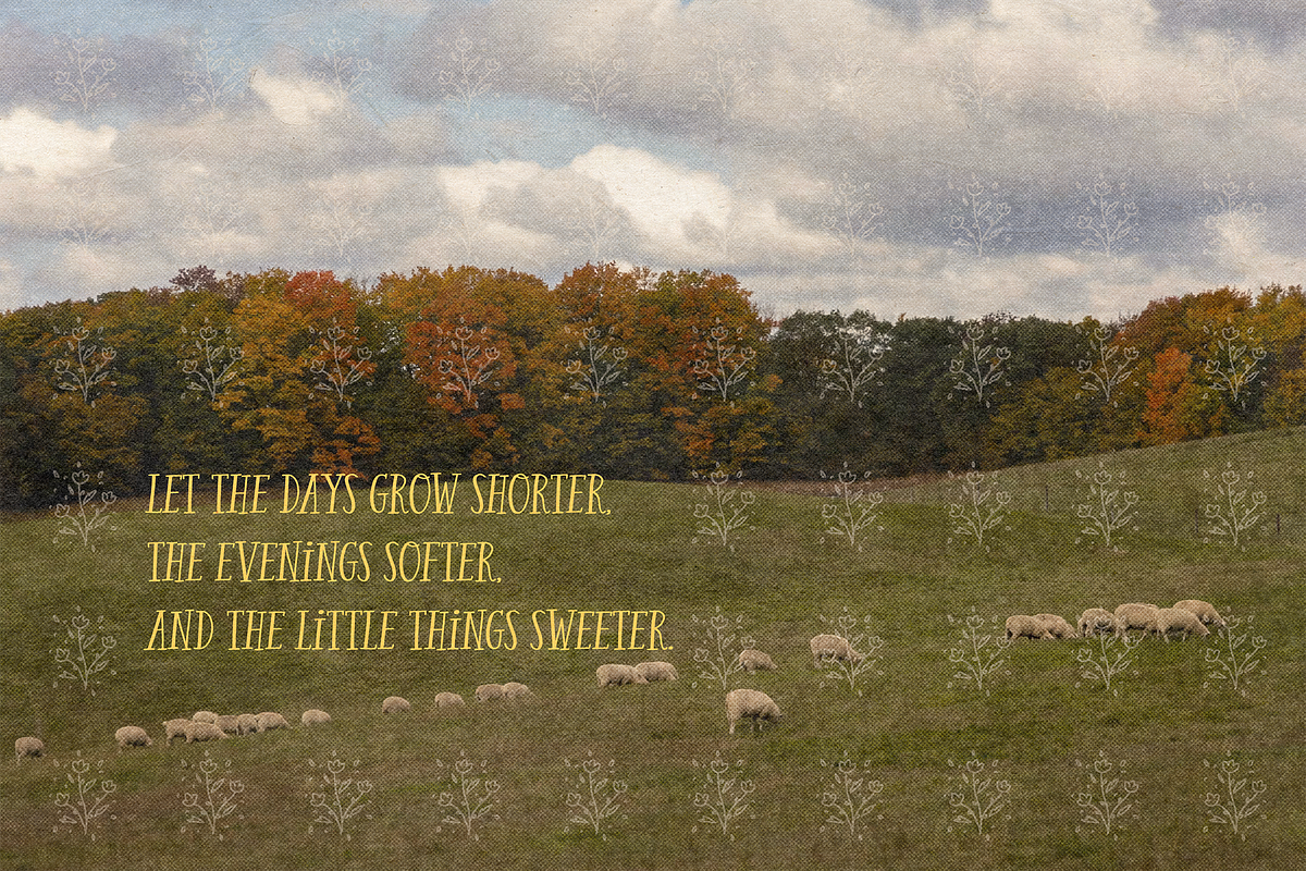 COZY LIBRARY | TALL COZY FONT, a Sans Serif Font by Maria Feliz Fonts (Photo 2 of 11)