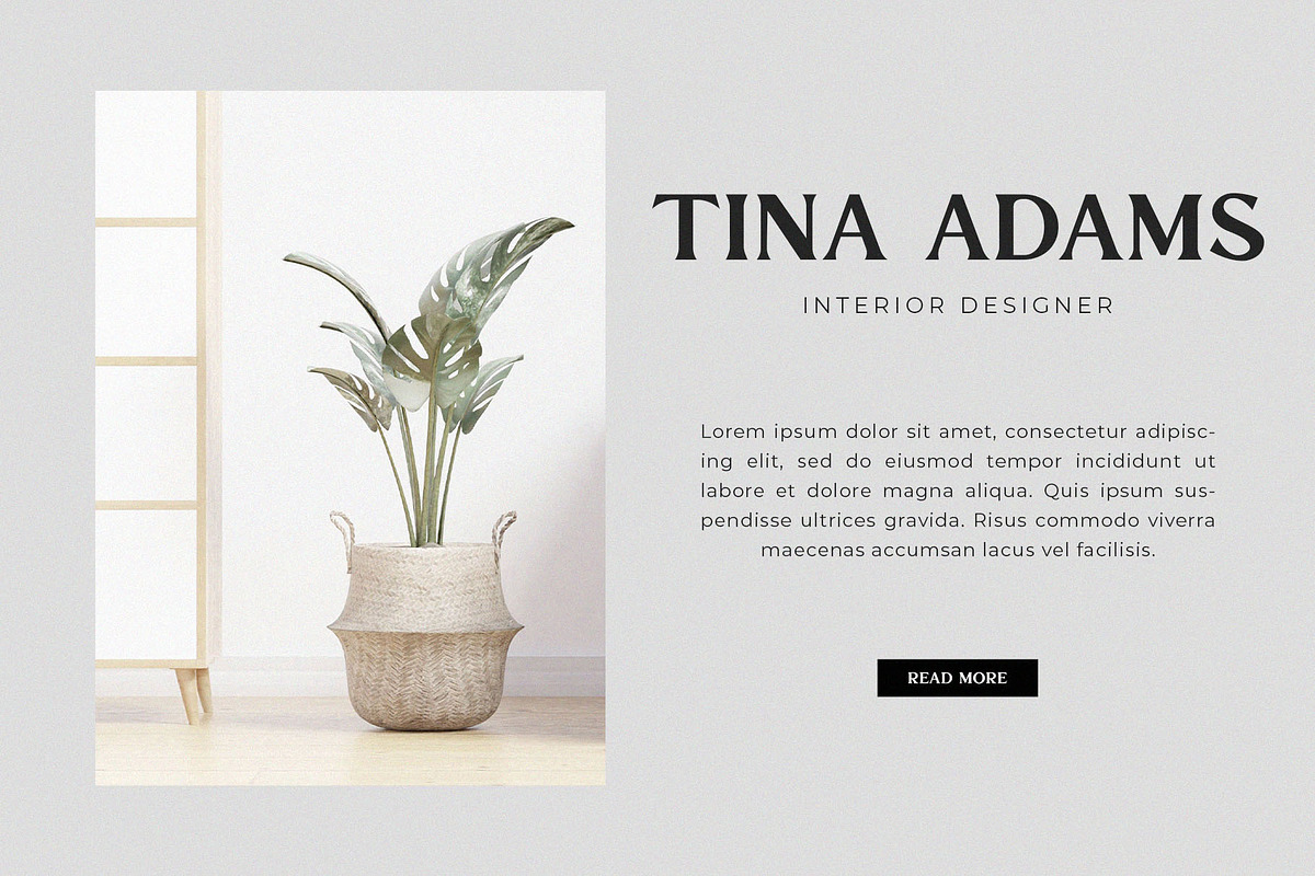 Vista Delmora - Modern Serif Font, a Serif Font by TypeLogue (Photo 3 of 5)