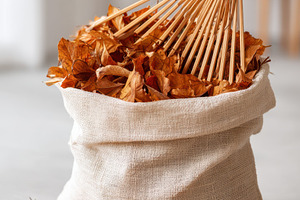 Autumn leaves in a burlap sack with a rake, a Nature Photo by AlyaAnd