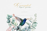 Hummingbird Birds Collection, an Illustration by ReachDreams (Thumbnail 5 of 5)