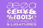 Balgin Font Family, a Sans Serif Font by Sundance Tipografia (Thumbnail 11 of 22)