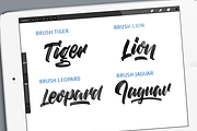 Brush brushpack for Procreate, a Brush Add-On by Studio FabianFischer (Thumbnail 2 of 7)