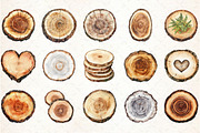 Watercolor Wood Slice Clipart, an Illustration by Libby Wishes (Thumbnail 2 of 6)