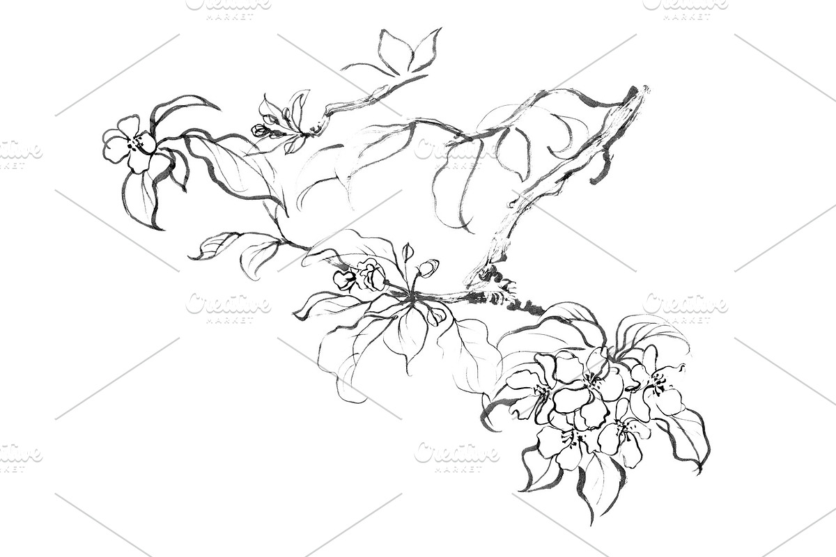Ink Apple Blossom, an Illustration by Note And Silence (Photo 4 of 5)