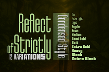 Reflect of Strictly Condensed