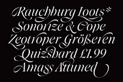 Niven Italic, a Font by Simon Walker (Thumbnail 5 of 9)