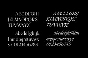 Liliane Classe Serif Font Family, a Serif Font by Ryul Davidson (Thumbnail 5 of 21)