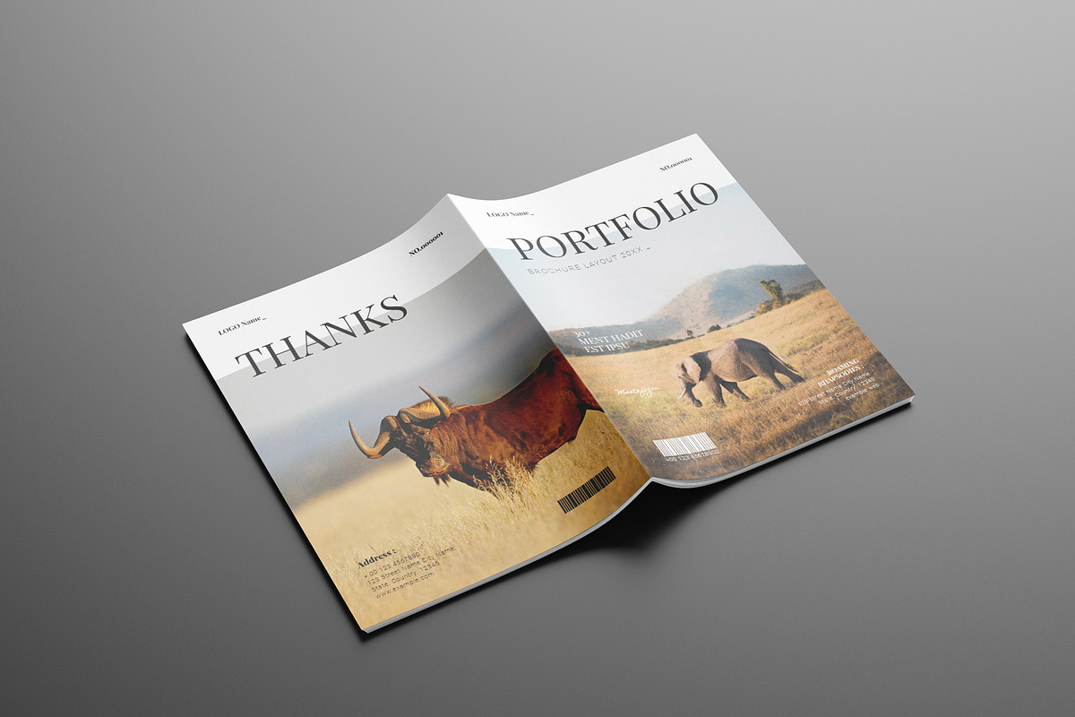 Portfolio Brochure Layout, a Brochure Template by Seeing-art (Photo 9 of 11)