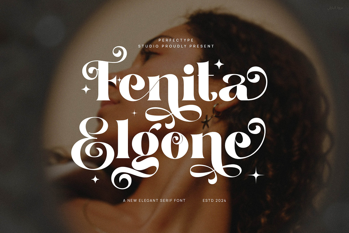 Fenita Elgone Elegant Serif Font, a Serif Font by Perfectype (Photo 1 of 8)