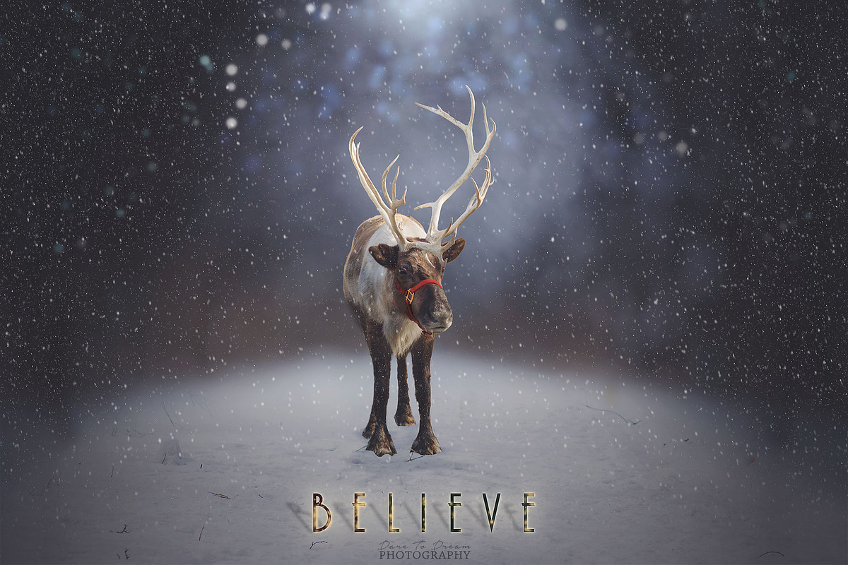 10 - PNG -Reindeer Overlays preview 2