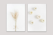 Aesthetic Pastel Styled Stock Photos, a Background Photo by Floral Deco (Thumbnail 19 of 39)
