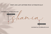 Sunderland, a Script Font by Teweka (Thumbnail 10 of 12)