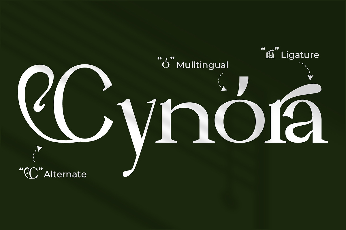Leubrik - Serif Typeface Font, a Serif Font by Rishsketch (Photo 9 of 15)