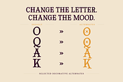 Fantasia Halloween - Spooky Typeface, a Serif Font by agnyhasyastudio (Thumbnail 9 of 13)