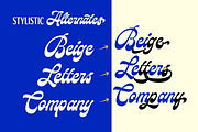 Relgone Script, a Script Font by Letterhend Studio (Thumbnail 3 of 9)