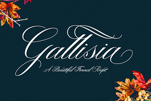 Gallisia Script