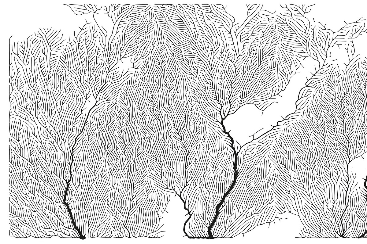 Growth - 50 Backgrounds, a Texture Graphic by GarryKillian (Photo 38 of 51)