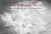 FLORAL Dusty Monochrome Backgrounds, a Background Graphic by Anzhelika (Thumbnail 8 of 10)