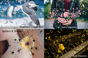 [91% OFF] Dispersion Actions Bundle, an Action Add-On by ArtPlanet (Thumbnail 26 of 33)