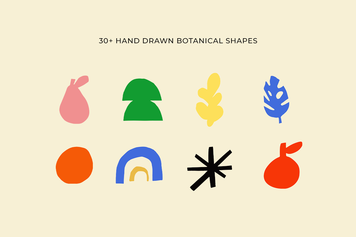 Botanical Illustrations Bundle Pack, an Illustration by Lotus White-Sugito (Photo 2 of 6)