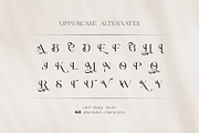Balkind - Modern Beauty Serif Font, a Serif Font by Ekahermawan (Thumbnail 19 of 25)