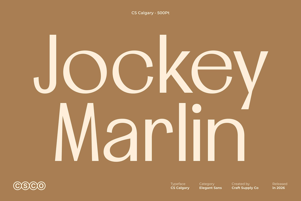 CS Calgary – Elegant Sans Serif, a Sans Serif Font by Craft Supply Co. (Photo 3 of 8)