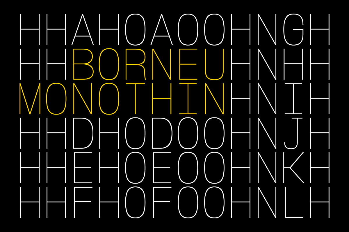 Borneu Mono Regular, a Sans Serif Font by BorneuStd (Photo 2 of 10)